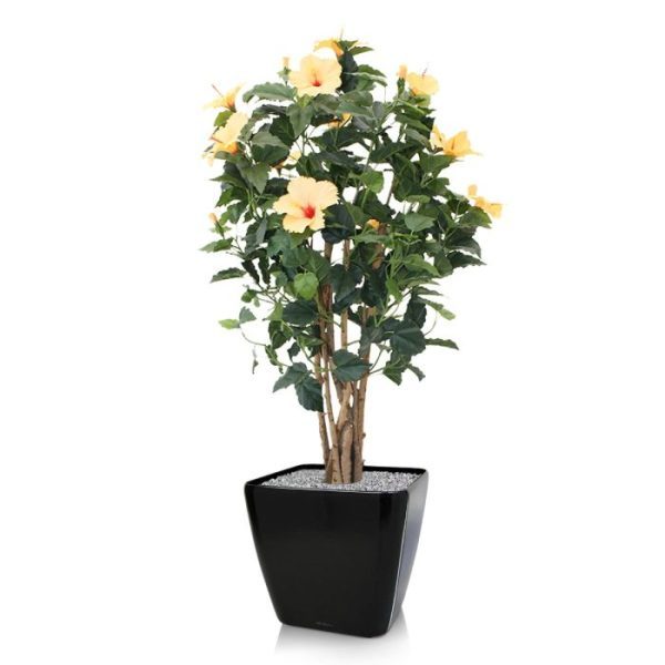 Hibiscus-Deluxe-100-cm-oranje-3 Hibiscus Deluxe 100 cm oranje 3