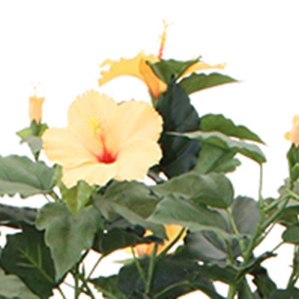 Hibiscus-Deluxe-100-cm-oranje-4 Hibiscus Deluxe 100 cm oranje 4