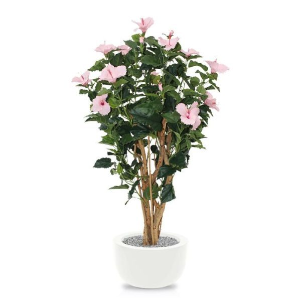 Kunstbomen in huis of op het kantoor. Veel aandacht gaat uit naar de echt houten stammen waarop deze kunstzijden Hibiscus is gebouwd. Door zijn enorme variatie aan groene bladeren en gekleurde bloemen ziet deze semi-zijden kunstplant er bijzonder natuurlijk uit. De bloeiende Hibiscus kunstplant is ongeveer 105 cm hoog
