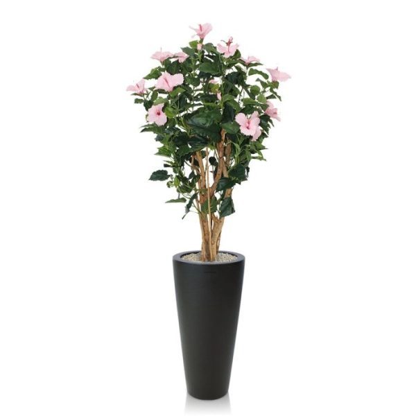 Bloeiende kunstbomen heeft een diameter van ongeveer 50 cm en heeft meerdere bloemen.