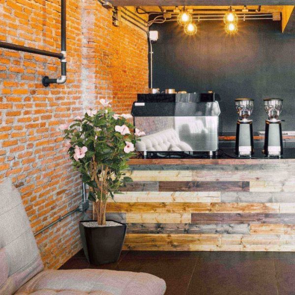 Hibiscus-Deluxe-100-cm-roze-5 Hibiscus Deluxe 100 cm roze 5