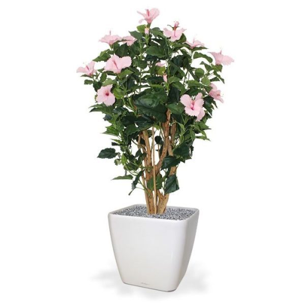 Hibiscus-Deluxe-100-cm-roze-9 Hibiscus Deluxe 100 cm roze 9