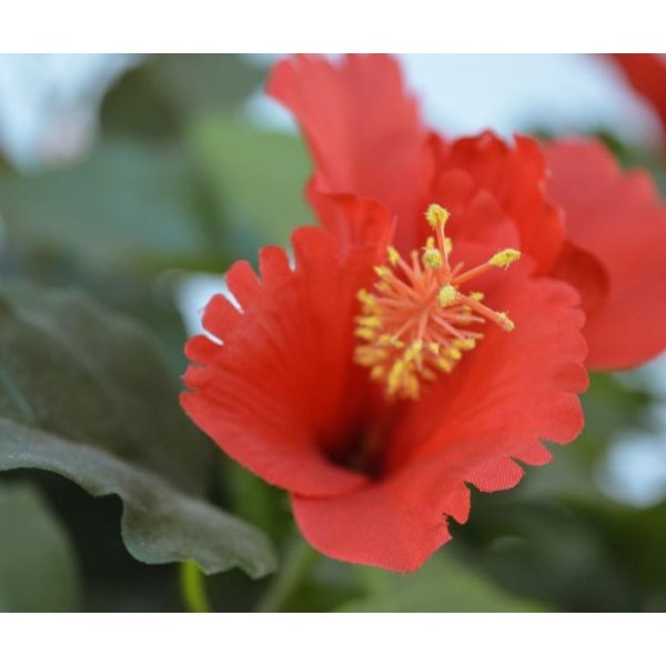 Hibiscus Deluxe XL kunstplant 170 cm rood 2