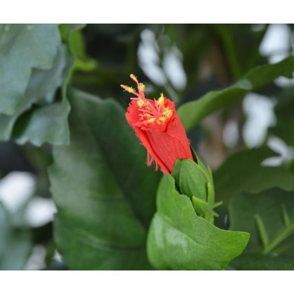 Hibiscus Deluxe XL kunstplant 170 cm rood 3