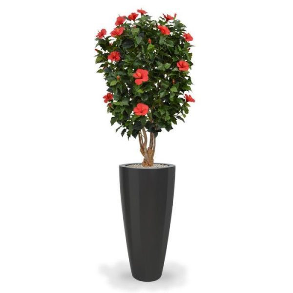 Hibiscus Deluxe XL kunstplant 170 cm rood 6