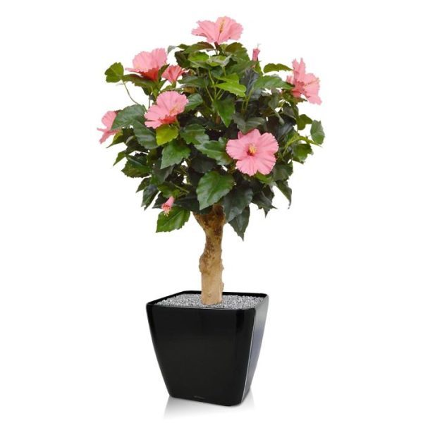 Kunstplanten zoals hij in menig tuin is terug te vinden. De Hibiscus heeft een hoogte van ongeveer 60 cm en een diameter van circa 45 cm. De hoogwaardige zijden Hibiscus bloemen hebben cerise kleurige bloemen met een delicaat geel hart en hebben allemaal diverse afmeting