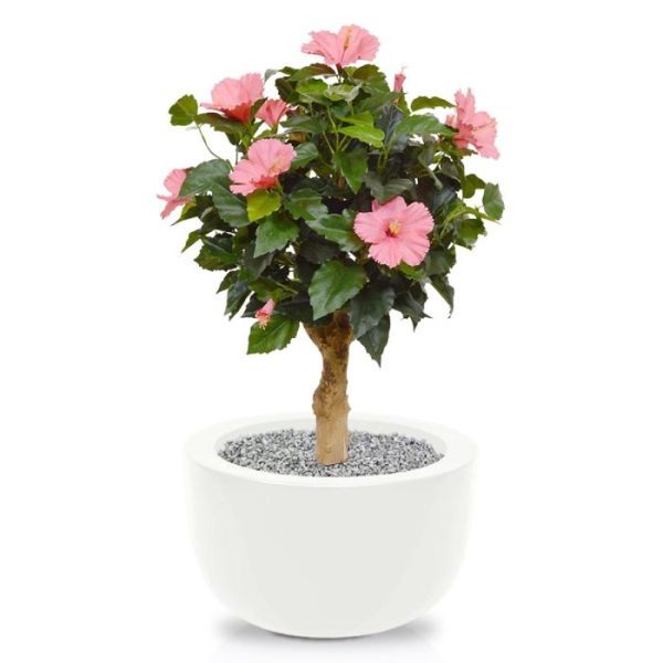 Hibiscus-kunstplant-65-cm-op-voet-cerise-8 Hibiscus kunstplant 65 cm op voet cerise 8