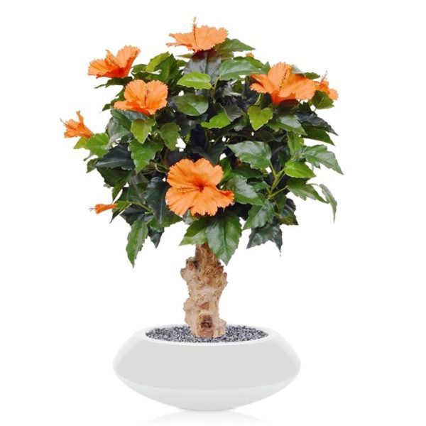 Kunstplanten de blikvanger in menig tuin of kamer! Door de echte houten stam waar de kunststof takken zorgvuldig in zijn geboord