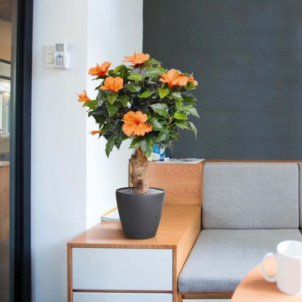 Hibiscus-kunstplant-65-cm-op-voet-oranje-5 van kleine knoppen tot volgroeide open Hibiscus bloemen. De plant word op een houten voet geleverd. Hierdoor kunt u zelf variëren met de hoogte en be...