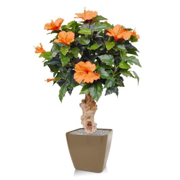 Hibiscus-kunstplant-65-cm-op-voet-oranje-8 Hibiscus kunstplant 65 cm op voet oranje 8