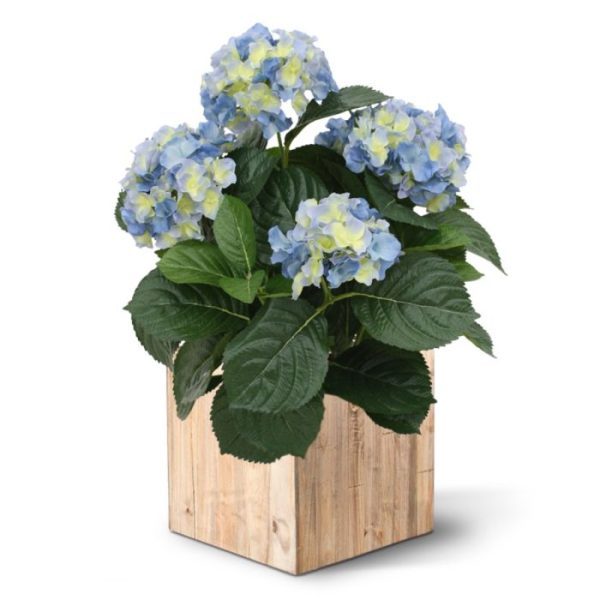 Kunstplanten zijden Hortensia bloemen. Met zijn vele grote en kleine bladeren in verschillende tinten is deze kunstplant een lust voor het oog.  De kunsthortensia wordt in een standaard plastic binnenpot (ø12cm) geleverd zodat de ze makkelijk in een sierpot gezet kan worden. De totale hoogte van de Hortensia is ongeveer 45 cm