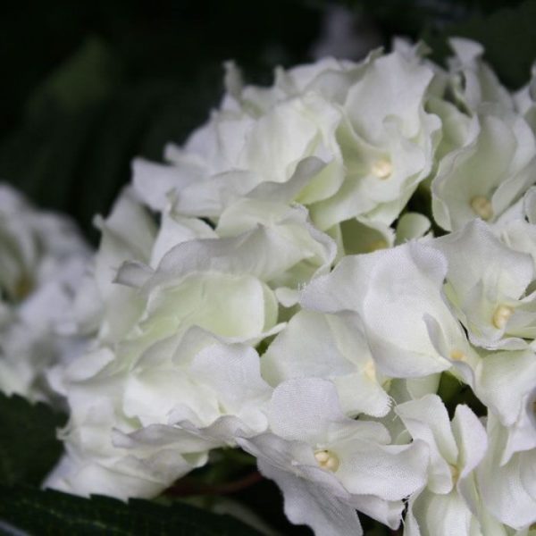 Hortensia-Deluxe-kunstplant-45-cm-creme-4 Hortensia Deluxe kunstplant 45 cm creme 4
