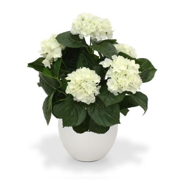 Hortensia Deluxe kunstplant 45 cm crème Deze schitterende zijden Hortensia is net echt! De kunstplant is opgebouwd uit diverse takken en zijtakken en heeft 5 grote
