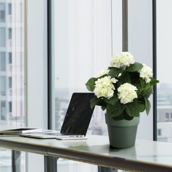 Hortensia-Deluxe-kunstplant-45-cm-creme-7 Hortensia Deluxe kunstplant 45 cm creme 7