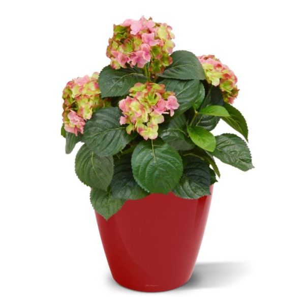 Hortensia-Deluxe-kunstplant-45-cm-roze-3 blauw en crème. De afgebeelde sierpot - Vera 16 pearl white - is tegen meerprijs leverbaar.