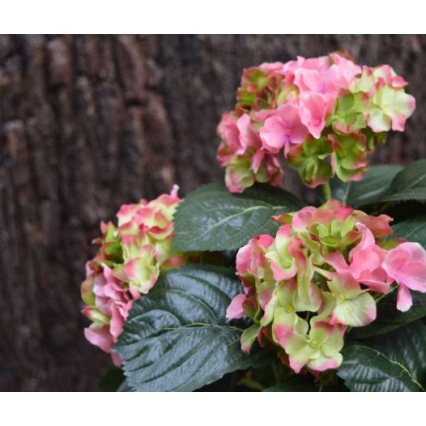 Hortensia-Deluxe-kunstplant-45-cm-roze-4 Hortensia Deluxe kunstplant 45 cm roze 4