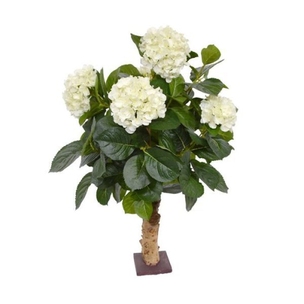 Hortensia-Deluxe-kunstplant-65-cm-op-voet-creme-3 maar zeker ook klassiek en romantisch. Deze kunstig en levensecht nagemaakte Hortensia naar eigen ontwerp is opgebouwd uit een echte robuuste houten stam van waaruit 144 donkergroene bladeren en vijf grote crèmekleurige bloemen ontspringen. De hoogte van de totale kunstplant