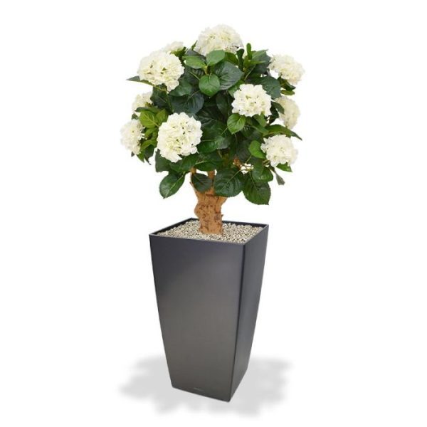 de breedte is 55 cm en leverbaar in de kleuren blauw en crème. De kunsthortensia wordt in een standaard plastic binnenpot (ø17cm) geleverd zodat de ze makkelijk in een sierpot gezet kan worden. Zowel op een hoge als een lage pot komt deze Hortensia uitstekend tot zijn recht.