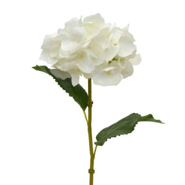 Hortensia-Deluxe-steelbloem-45-cm-creme-6 Hortensia Deluxe steelbloem 45 cm creme 6