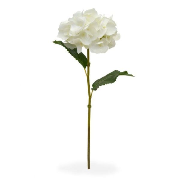 Hortensia Deluxe steelbloem 45 cm creme Deze schitterende kunst Hortensia steelbloem is net echt! De stengelbloem is opgebouwd uit een enkele steel met daarop een grote kunstzijden Hortensia bloem. Door zijn vele vertakkingen meet de kunstbloem 12 cm breed en telt deze wel 41 bloemetjes! De kunst Hortensia wordt standaard als losse steel geleverd en kan daardoor makkelijk verwerkt worden tot prachtige kunstboeketten. De kunststeel heeft een lengte van ongeveer 45 cm en is verkrijgbaar in het creme