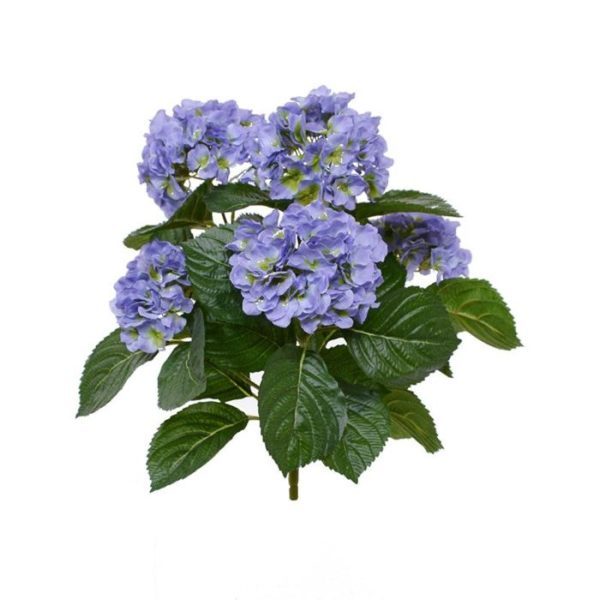 Dit schitterende zijden Hortensia boeket is net echt! Het boeket is opgebouwd uit diverse takken en zijtakken en heeft 5 grote bloemen. Met zijn vele grote en kleine bladeren in verschillende tinten is dit zijdeboeket een lust voor het oog. De kunst Hortensia wordt zonder pot geleverd zodat de kunstplant gemakkelijk in uw eigen pot opgestoken kan worden. De hoogte van de totale plant