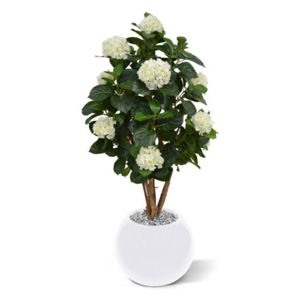 Kunstbomen kunstzijden Hortensia bloemen. Met zijn vele grote en kleine bladeren in verschillende groentinten is deze kunstplant een lust voor het oog.  De kunsthortensia wordt in een standaard plastic binnenpot (ø12cm) geleverd zodat de ze makkelijk in een sierpot gezet kan worden. De totale hoogte van de Hortensia is ongeveer 110 cm
