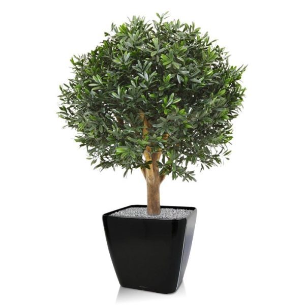 donkergroene en langwerpige bladeren die ontspringen uit een echte houten stam. Deze kunst Ilex bol is 60 cm hoog en 55 cm breed en wordt geleverd in een plastic binnenpot van 10 cm en een vast verlijmde opvulling. Hiermee kunt u de kunstplant Ilex eenvoudig in een sierpot plaatsen. Omdat de UV-protector enkel in de grondstof van de kunststof delen is verwerkt