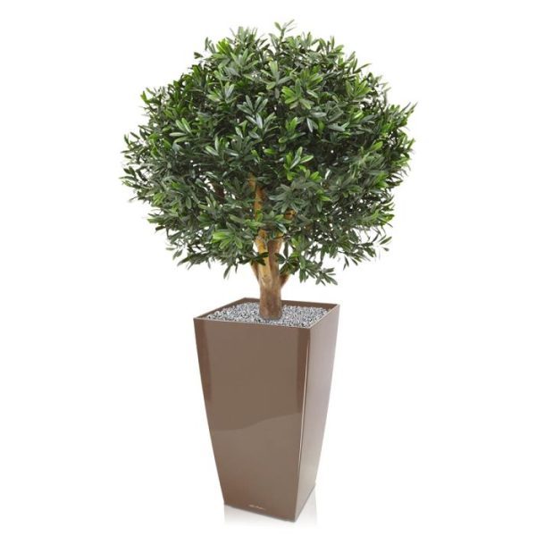 Deze natuurgetrouwe Ilex bol kunstplant 55 cm is dankzij zijn Uv-bestendigheid uitstekend geschikt voor buiten. Deze plant uit de hulstfamilie zal u beslist niet teleurstellen met zijn vele frisse