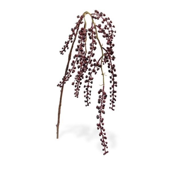 heeft de kruidachtige plant ook wel de bijnaam inkberry.