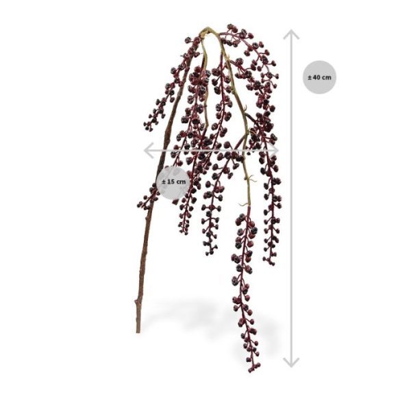 Een redelijke onbekende in plantenland is deze kunst Karmozijnbessen tak in rode kleur. De Westerse variant van de karmozijnbes (Phytolacca americana) komt uit Noord-Amerika en kenmerkt zich door een bijzonder uiterlijk. Bij de westerse karmozijnbes hangt de tros met rijpe vruchten