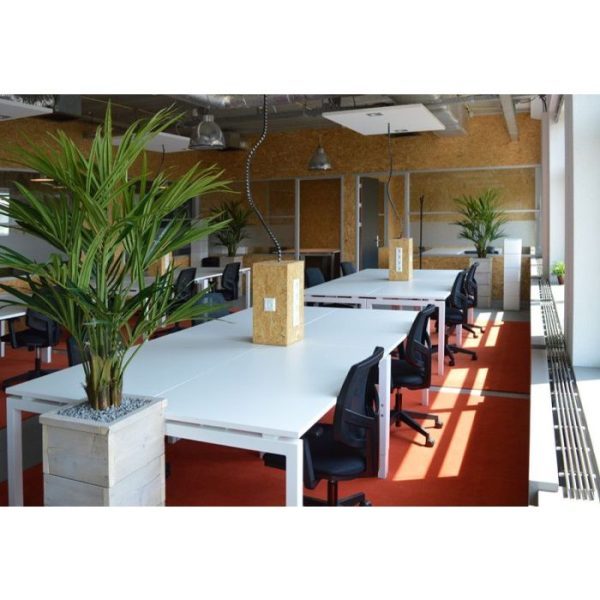 Kentia kunstpalm XL Deluxe 140 cm 10