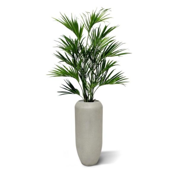 Kentia-kunstpalm-XL-Deluxe-190-cm-8 Kentia kunstpalm XL Deluxe 190 cm 8