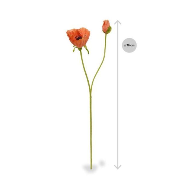 ook wel bekend als Papaver