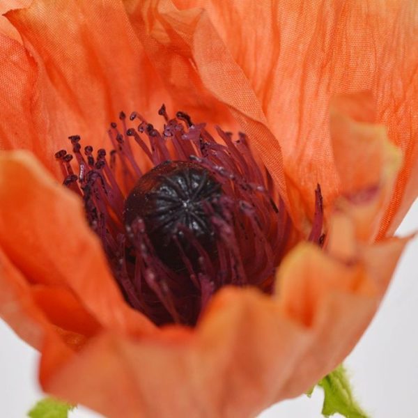 Klaproos Deluxe kunstbloem 70 cm oranje 3