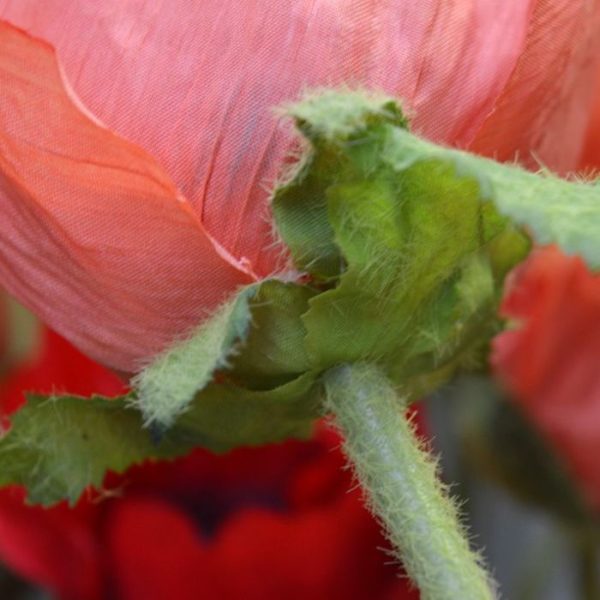 Klaproos Deluxe kunstbloem 70 cm oranje 4