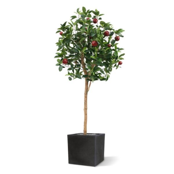 Kunstbomen is de boom bijzonder geschikt om een thema presentatie mee te maken