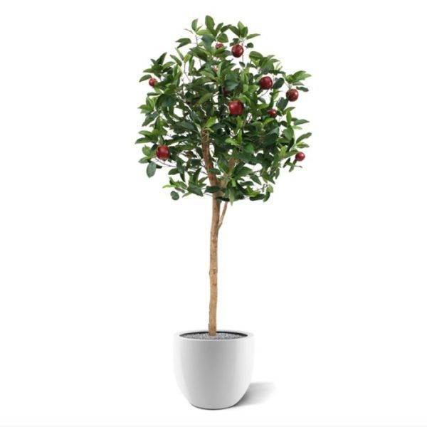 Kunst-Appelboom-Deluxe-195-cm-10 Kunst Appelboom Deluxe 195 cm 10