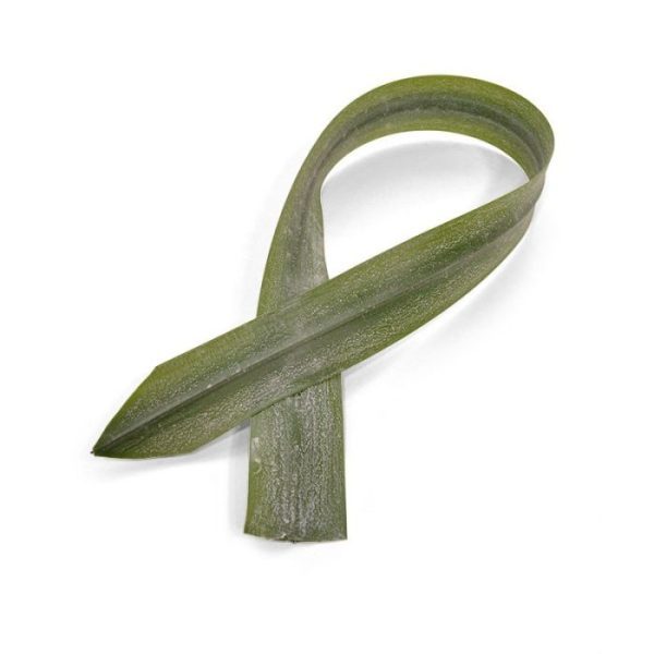 Kunstbloemen kan een mooi effect geven. Deze kunstaspidistra als blad heeft een lengte van ongeveer 76 cm en een breedte van circa 5 cm.