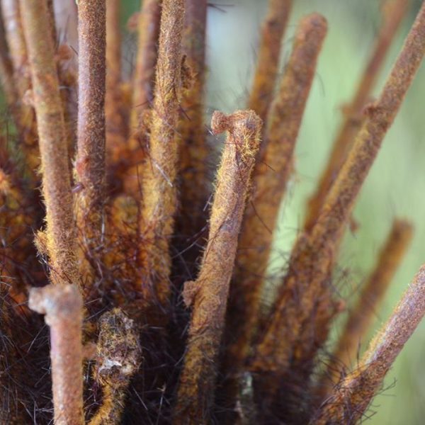 Kunst Bosvaren boeket 75 cm 5