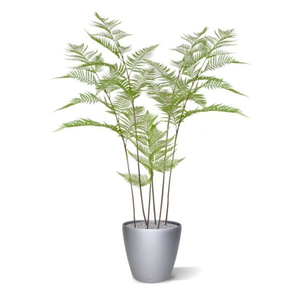 Ook hier waren we direct fan toen we deze kunst Bosvaren zagen. Kijk die eigenwijze wortelstok met kronkelend uitlopers met die drie daaruit ontsnapte volwassen gegroeide bladstelen met hun springerige bladschijven eens. Geniet van die ragfijn gevederde blaadjes die met hun frisgroene uiterlijk heerlijk afsteken tegen het donkerbruine van de rest. Ook bij dit exemplaar hebben we weer bijzonder ons best gedaan om 'm zo perfect en natuurgetrouw mogelijk te laten lijken. Wij vinden 'm zelfs zo goed gelukt dat ie regelrecht uit het bos lijkt weggelopen. Kijk maar eens naar die details die werkelijk perfect zijn nagemaakt. We vinden hem zelfs nog mooier dan het origineel. Deze fijne kunst Bosvaren