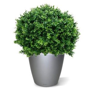De kunst Buxus Bol Deluxe 80 cm is gemaakt van pvc-plastic