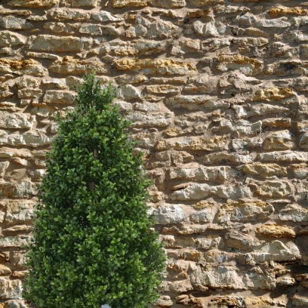 Kunst-Buxus-Tower-110-cm-UV-6 Kunst Buxus Tower 110 cm UV 6