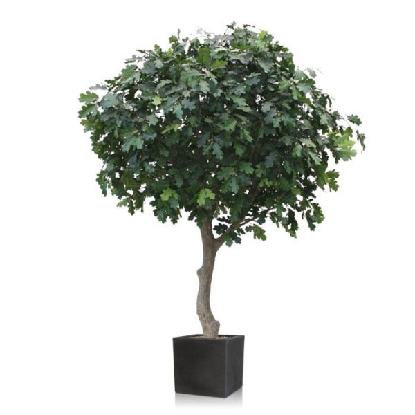 Kunstbomen zeer goed nagemaakt eikeltjes. Een kunstboom met een ongekend natuurlijke uitstraling!  De hoogte van de boom is ongeveer 300 cm