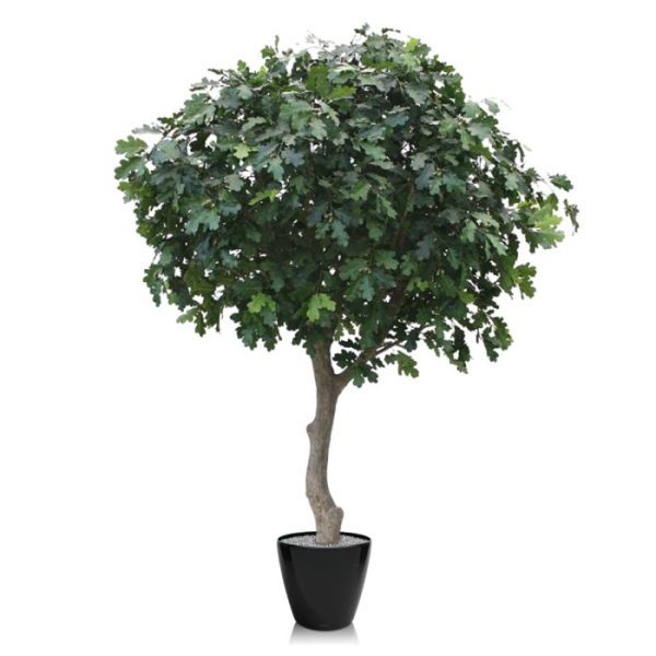 Kunst Eikenboom Giant Deluxe 300 cm Als u een bosrijke sfeer wilt creëeren dan is deze exclusieve zijden Eikenboom Giant Deluxe kunstboom een fantastische keuze!  De goed gevulde Eikenboom Giant is gemonteerd is op een speciaal nagemaakte dikke stam van polystone en is voorzien van vele