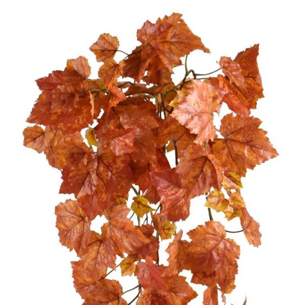 Kunst Hangplant Herfst Druivenblad 95cm Speelt u voor de Griekse wijngod Dionysos met deze prachtige Druivenblad kunsthanger in prachtige herfstkleuren? Dat begrijpen wij maar al te goed. Want zo'n stemmig gekleurde kunsthangplant is wel heel veelzijdig in te zetten. Als versiering van uw horeca