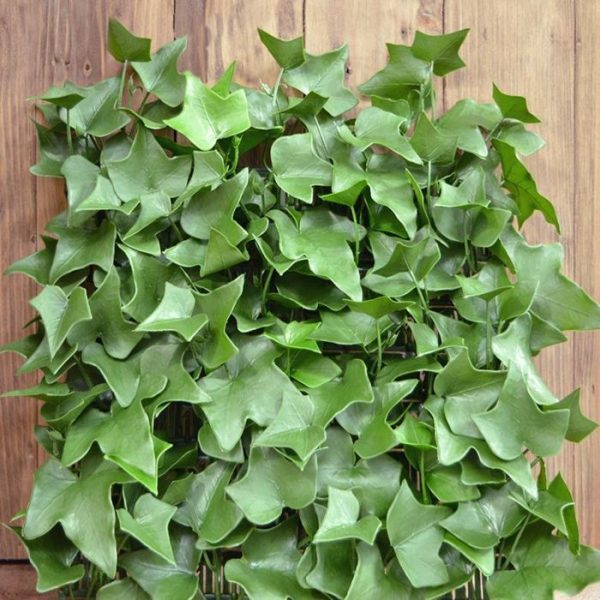 Kunst Hangplanten een stijlvolle bekleding van uw schutting of prikt u er nog wat vrolijke bloeiers in voor een groene wand-effect? Dankzij de speciale UV-protector kunt u er gegarandeerd jarenlang zonder enig onderhoud van genieten. De natuurlijk ogende en onderhoudsvrije Hedera is geheel gemaakt van kwalitatief hoogwaardig pvc en zorgt voor een akoestische demping. De mat is zeer goed gevuld en verspringt ook nog eens speels in hoogte voor een luxe én levensechte uitstraling. Door de kunststof Hedera mat om een frame te monteren kunt u een prachtige kunsthaag creëren om als natuurlijke afscheiding te dienen tussen twee ruimtes