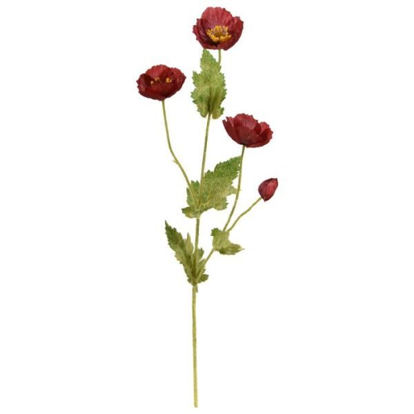 kunt ze haast ruiken! Uren