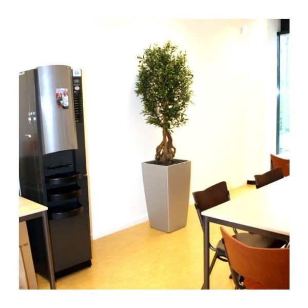 waardoor het geheel er zeer luxe uit ziet.  De hoogte van de boom is ongeveer 150 cm. Standaard wordt deze boom op een houten plaat geleverd.