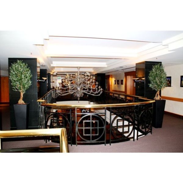 Met deze prachtige Olijfboom haalt u de mediteraanse sfeer in een handomdraai in huis.   Zowel de blaadjes als de olijven zijn niet van echt te onderscheiden en de boom is opgebouwd op een bijzonder mooi nagemaakte Bonsai stam