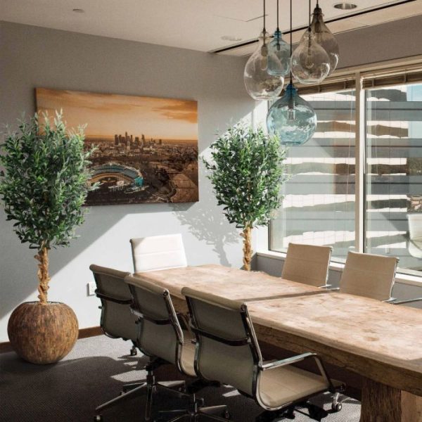 zowel hoog also ok klassiek laag. Standaard wordt de Olijf in een plastic binnenpot geleverd.